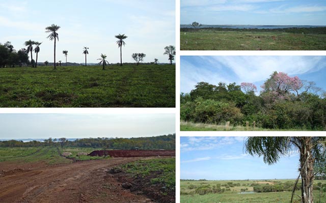 Club de Campo Aguavista, el paisajismo como concepto arquitectónico y medioambiental