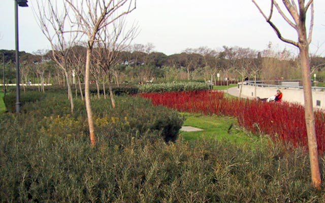 Parque Micaela Bastidas: un tesoro para la ciudad