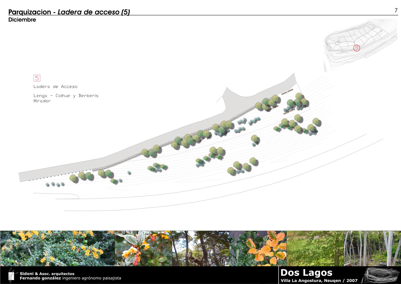 Dos Lagos: Villas & Marinas