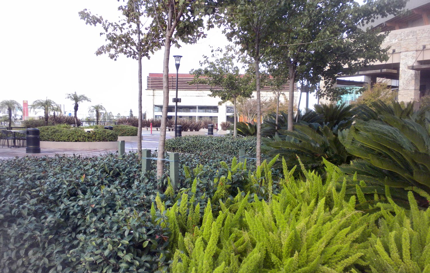 Tortugas Open Mall